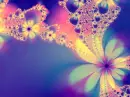 Flower background