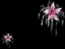 Flower background