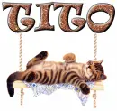 cat tito