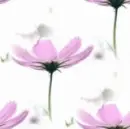 floral backgrounds