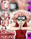 Sakura Background