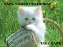saturday