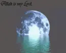 English Poetry for Islam