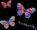 Plain Butterfly