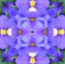Floral
