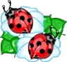Two