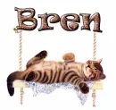Bren