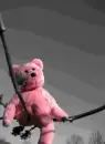 TEDDY :]