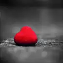 HEART :]