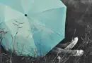 UMBRELLA :]