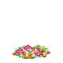 Pororo