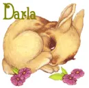Cute Bunny - Darla