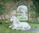 Unicorn under the Rain - Rowan