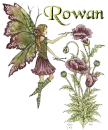 Fairy - Rowan