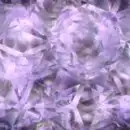 Amethystflowerbackground