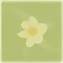 Flower background
