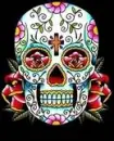 Colorful-Skull
