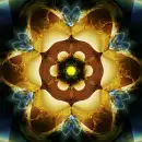 Flower backgrounds