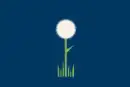 Flower background