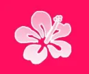 Flower background