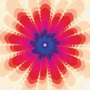 Flower background