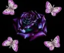 Flower background