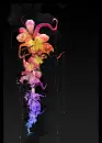 Flower background