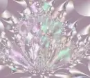 Flower background