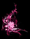 Flower background
