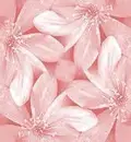Flower background