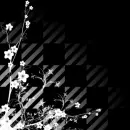 Flower background