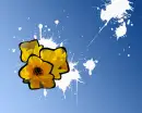 Flower background
