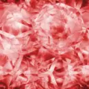 Flower background