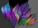 -colorful-feathers