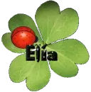 Lady Bug on Lucky Clover - Elia