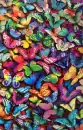 colorful Background