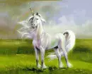 Unicorn ani