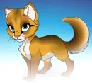 femalekitty