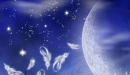 Feathers & Moon