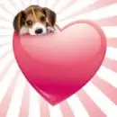 th_puppy