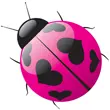 ladybug heart