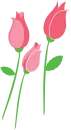 3 Rose