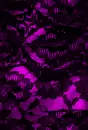 Dark Violte Lace