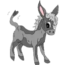 cute donkey