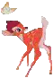 baby deer