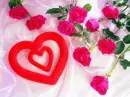 pink rose