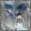 Eyes of the Tree