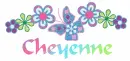 Cheyenne Flowers & Butterfly