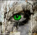 Project Gree Eyes