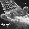 the life